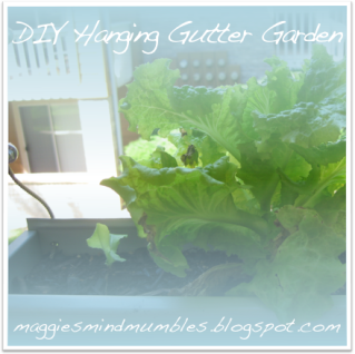 Maggie's Mind Mumbles//: Hanging Gutter Garden
