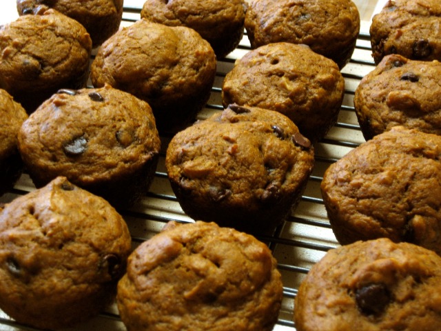 Maggie's Mind Mumbles//: Pumpkin Spice Muffins with Chocolate Chips and Walnuts